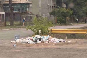Acumulación de basura dispara proliferación de roedores en Mario Briceño Iragorry