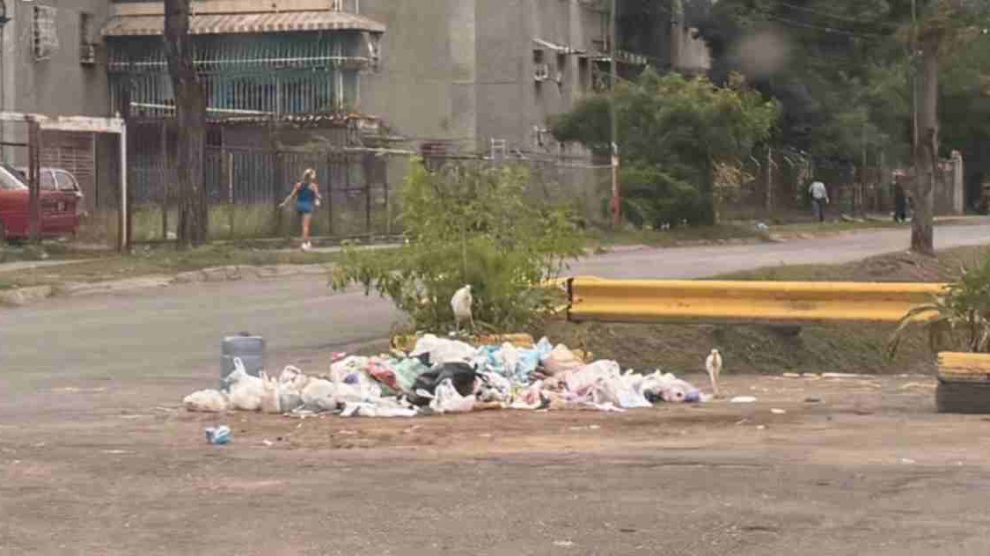 Acumulación de basura dispara proliferación de roedores en Mario Briceño Iragorry