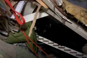 Rescatan gato tras 34 días bajo los escombros