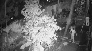 Roban tres bombonas de gas en iglesia de Valencia y ponen en riesgo comedor para personas en situación de calle