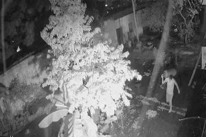 Roban tres bombonas de gas en iglesia de Valencia y ponen en riesgo comedor para personas en situación de calle