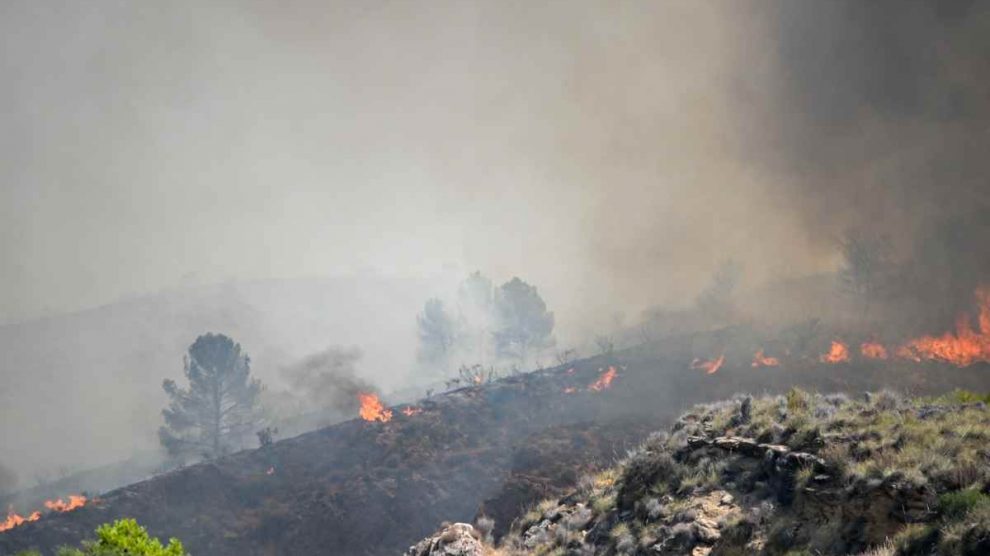 Incendio en Almería deja 12 muertos