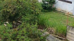 Pared colapsó en Los Teques tras réplica de magnitud 4