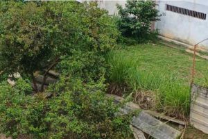 Pared colapsó en Los Teques tras réplica de magnitud 4