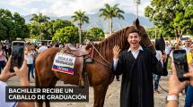 Bachiller recibe un caballo de graduación en Táchira y su reacción se hace viral