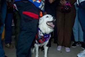 Develan estatua de Tsunami en Maracaibo en homenaje al perro rescatista de los terremotos